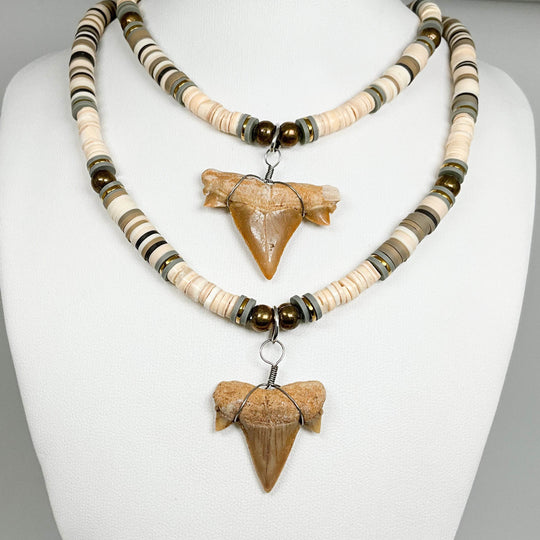 Fossilized Shark Tooth Necklace - Rocks and Gems Canada