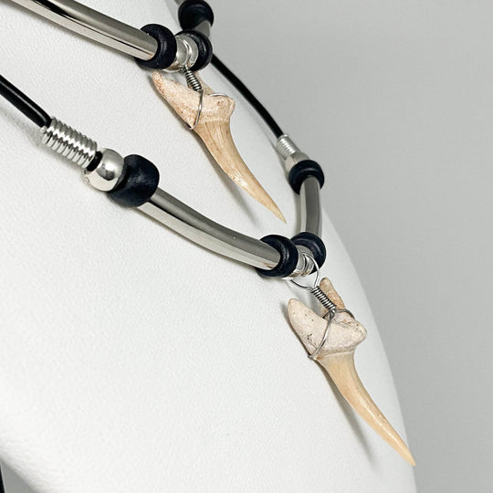 Fossilized Shark Tooth Necklace - Rocks and Gems Canada