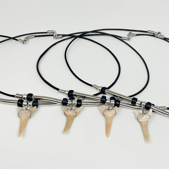 Fossilized Shark Tooth Necklace - Rocks and Gems Canada