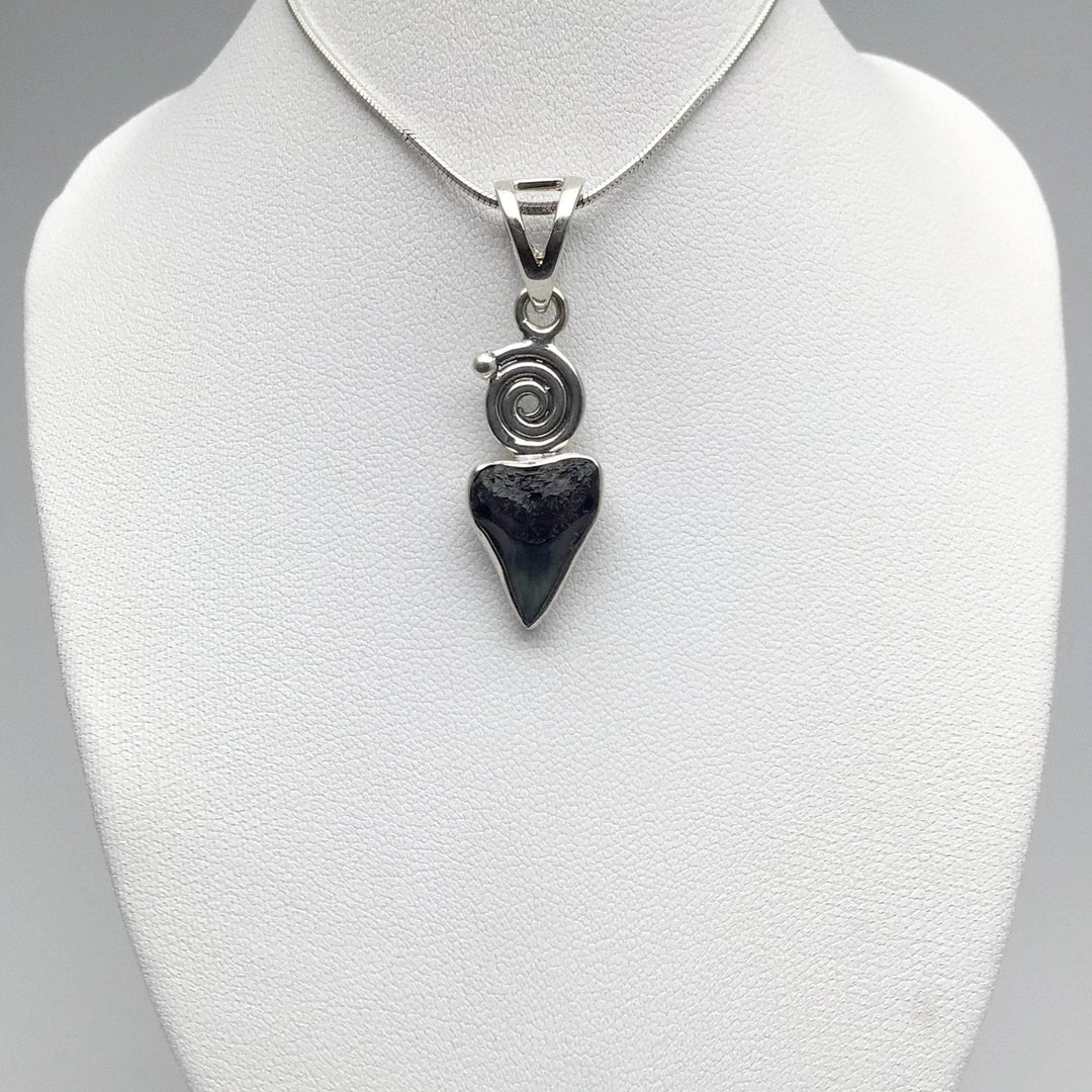 Fossilized Shark Tooth Pendant - Rocks and Gems Canada