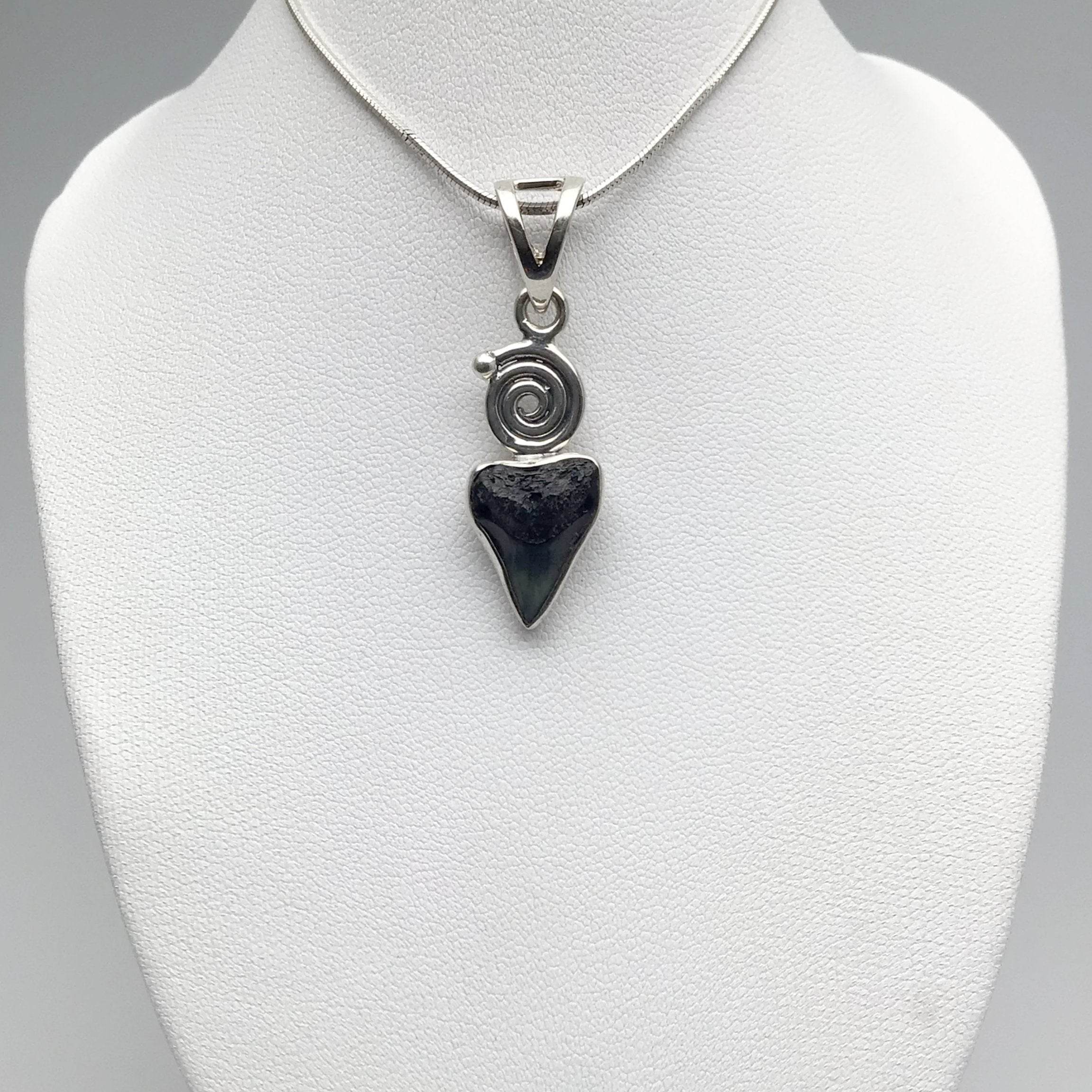 Fossilized Shark Tooth Pendant - Rocks and Gems Canada