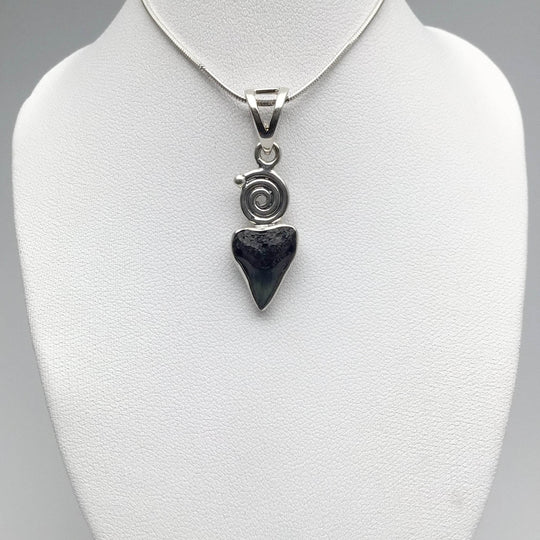 Fossilized Shark Tooth Pendant - Rocks and Gems Canada