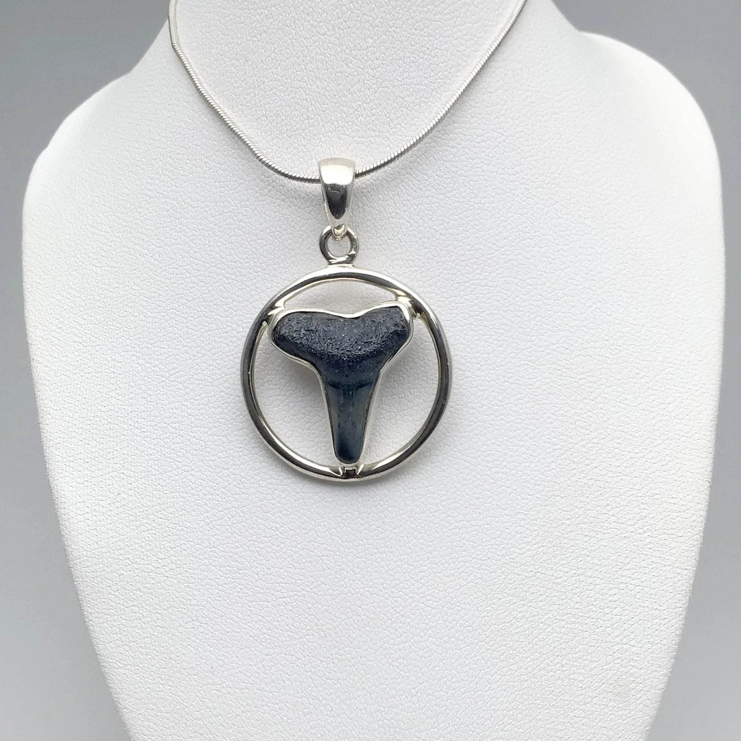 Fossilized Shark Tooth Pendant - Rocks and Gems Canada