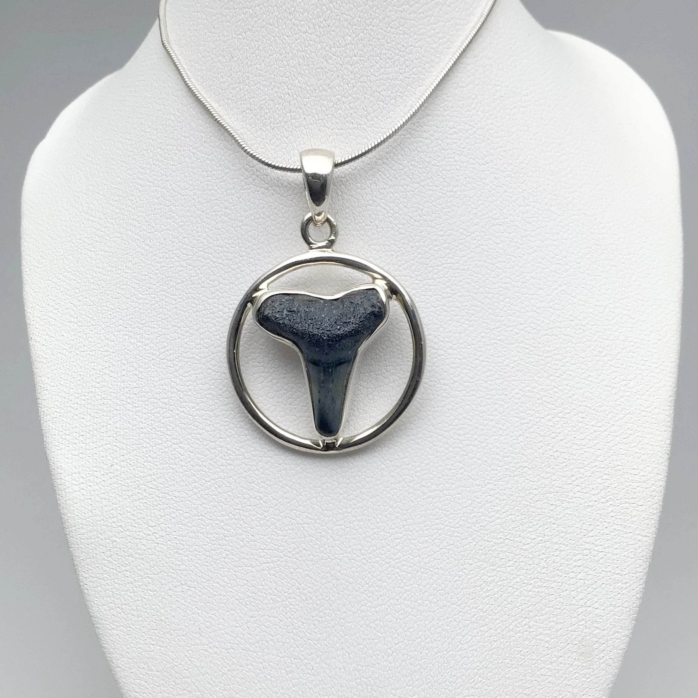 Fossilized Shark Tooth Pendant - Rocks and Gems Canada