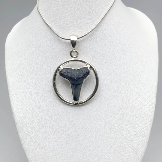 Fossilized Shark Tooth Pendant - Rocks and Gems Canada