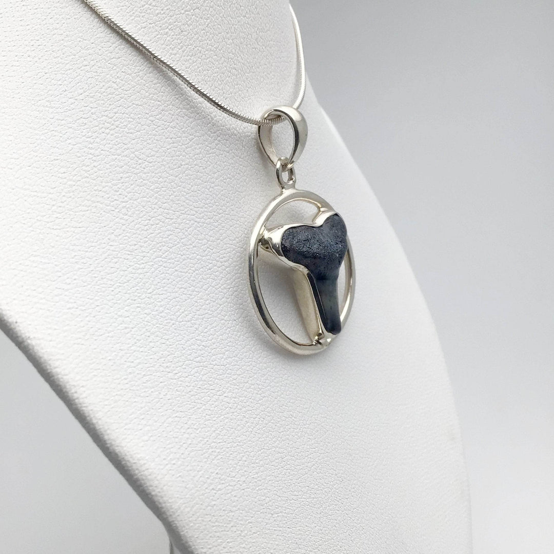 Fossilized Shark Tooth Pendant - Rocks and Gems Canada