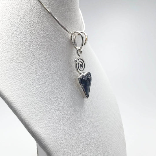 Fossilized Shark Tooth Pendant - Rocks and Gems Canada