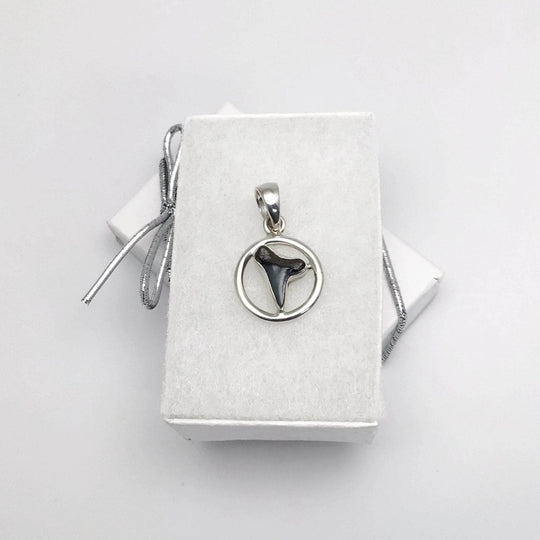Fossilized Shark Tooth Pendant - Rocks and Gems Canada
