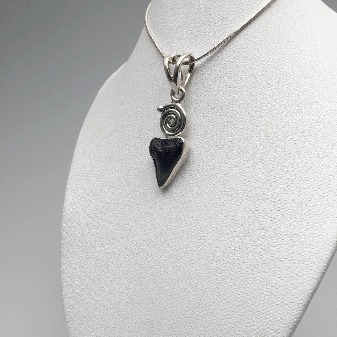 Fossilized Shark Tooth Pendant - Rocks and Gems Canada