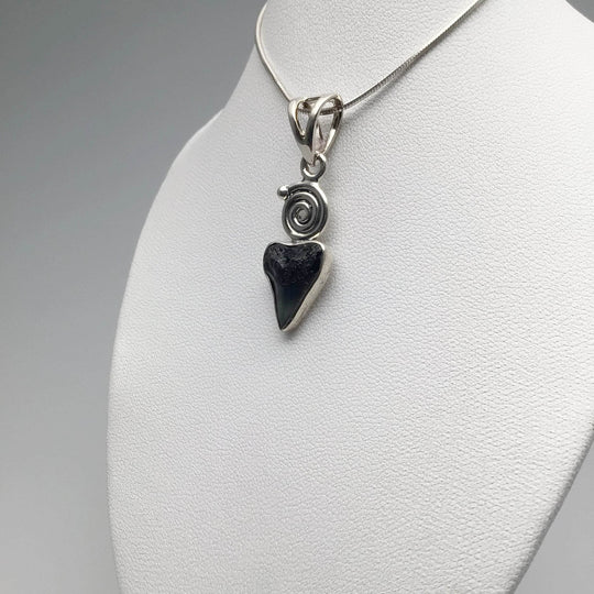 Fossilized Shark Tooth Pendant - Rocks and Gems Canada