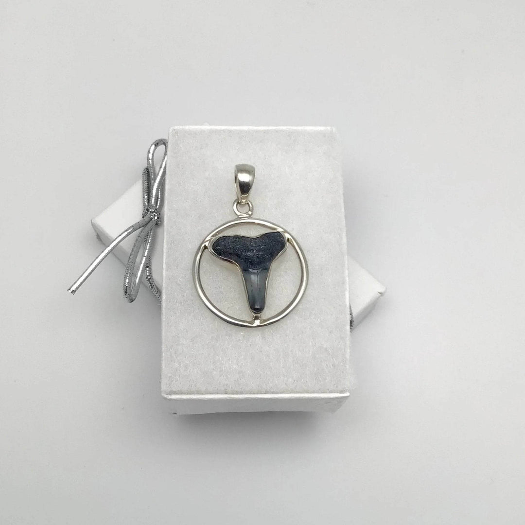 Fossilized Shark Tooth Pendant - Rocks and Gems Canada