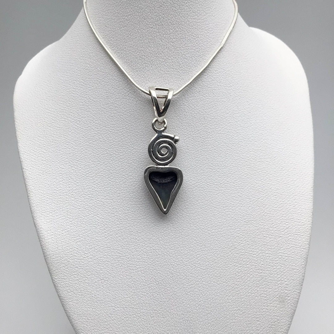 Fossilized Shark Tooth Pendant - Rocks and Gems Canada