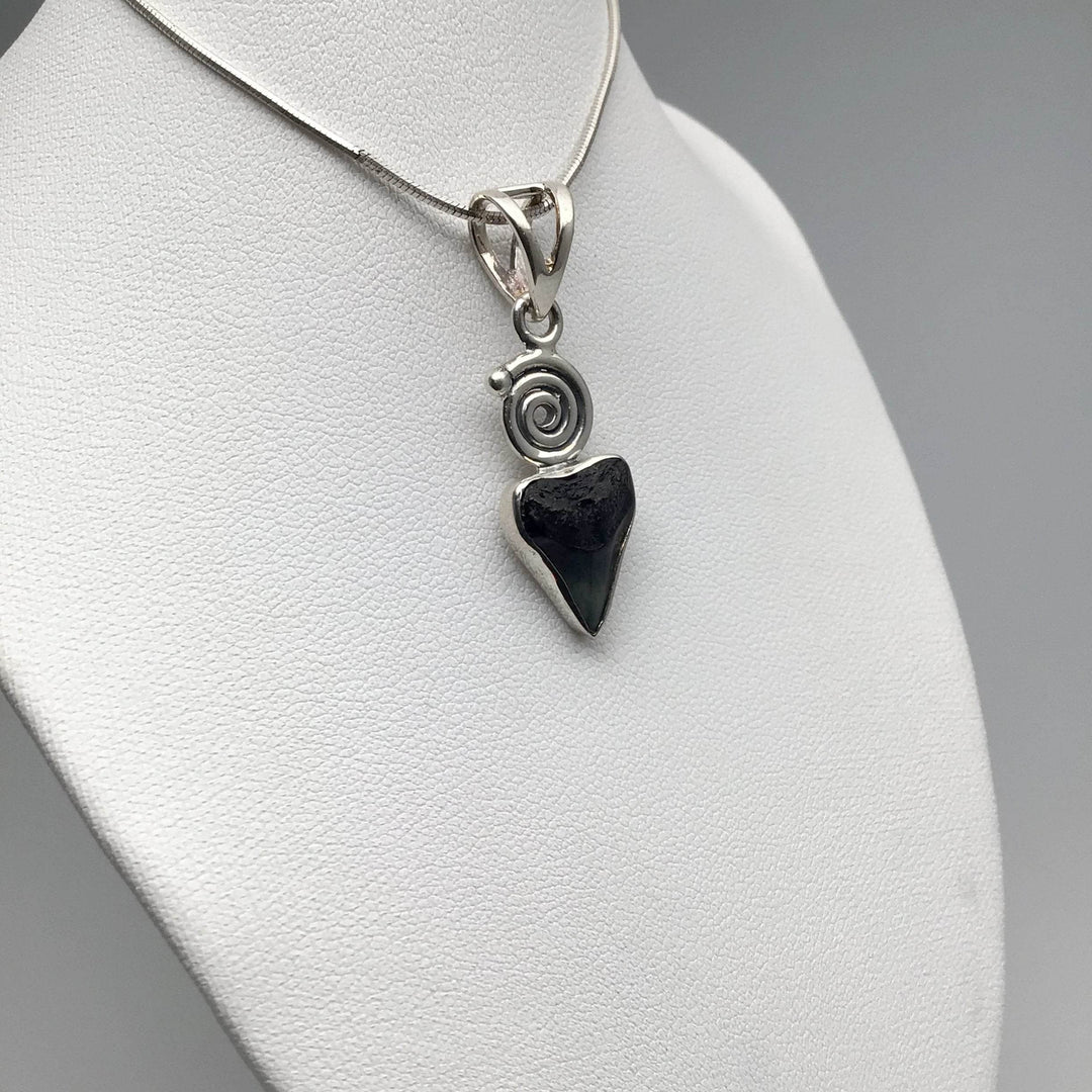 Fossilized Shark Tooth Pendant - Rocks and Gems Canada