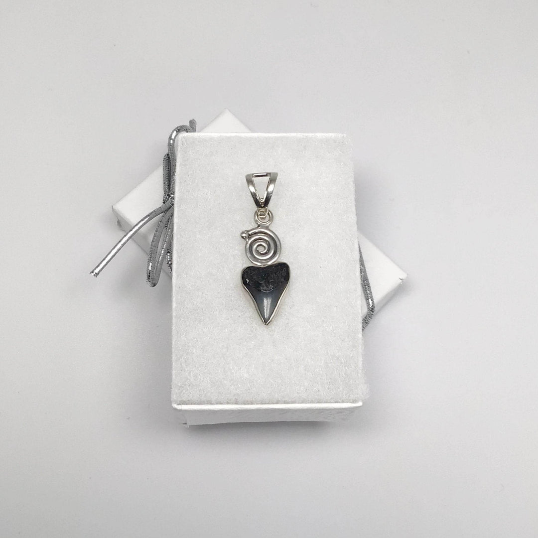 Fossilized Shark Tooth Pendant - Rocks and Gems Canada