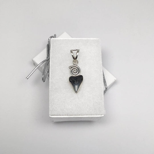 Fossilized Shark Tooth Pendant - Rocks and Gems Canada
