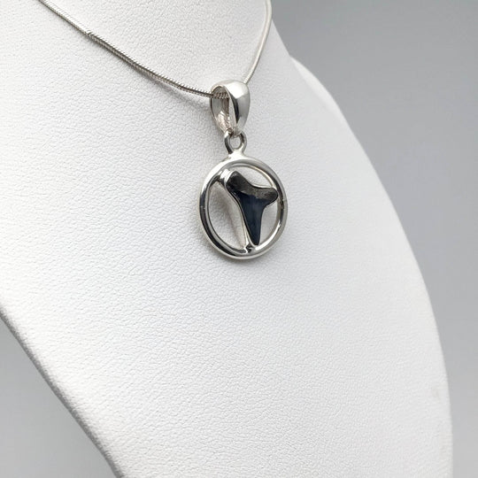Fossilized Shark Tooth Pendant - Rocks and Gems Canada