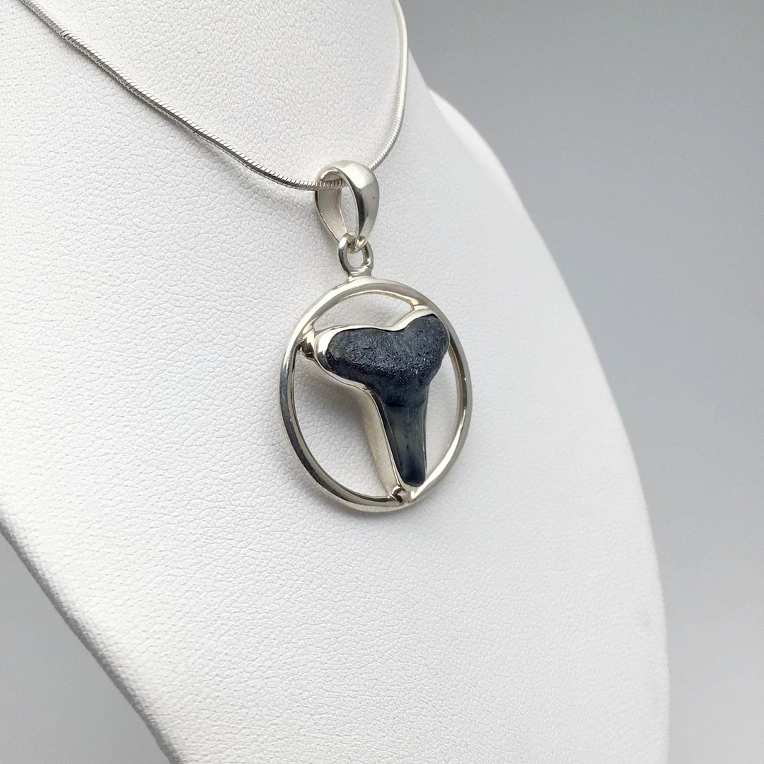Fossilized Shark Tooth Pendant - Rocks and Gems Canada