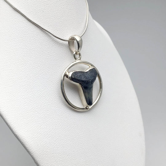 Fossilized Shark Tooth Pendant - Rocks and Gems Canada