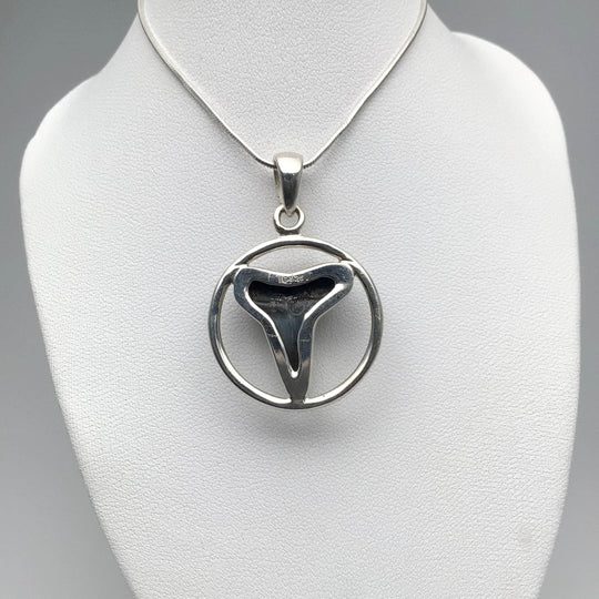 Fossilized Shark Tooth Pendant - Rocks and Gems Canada