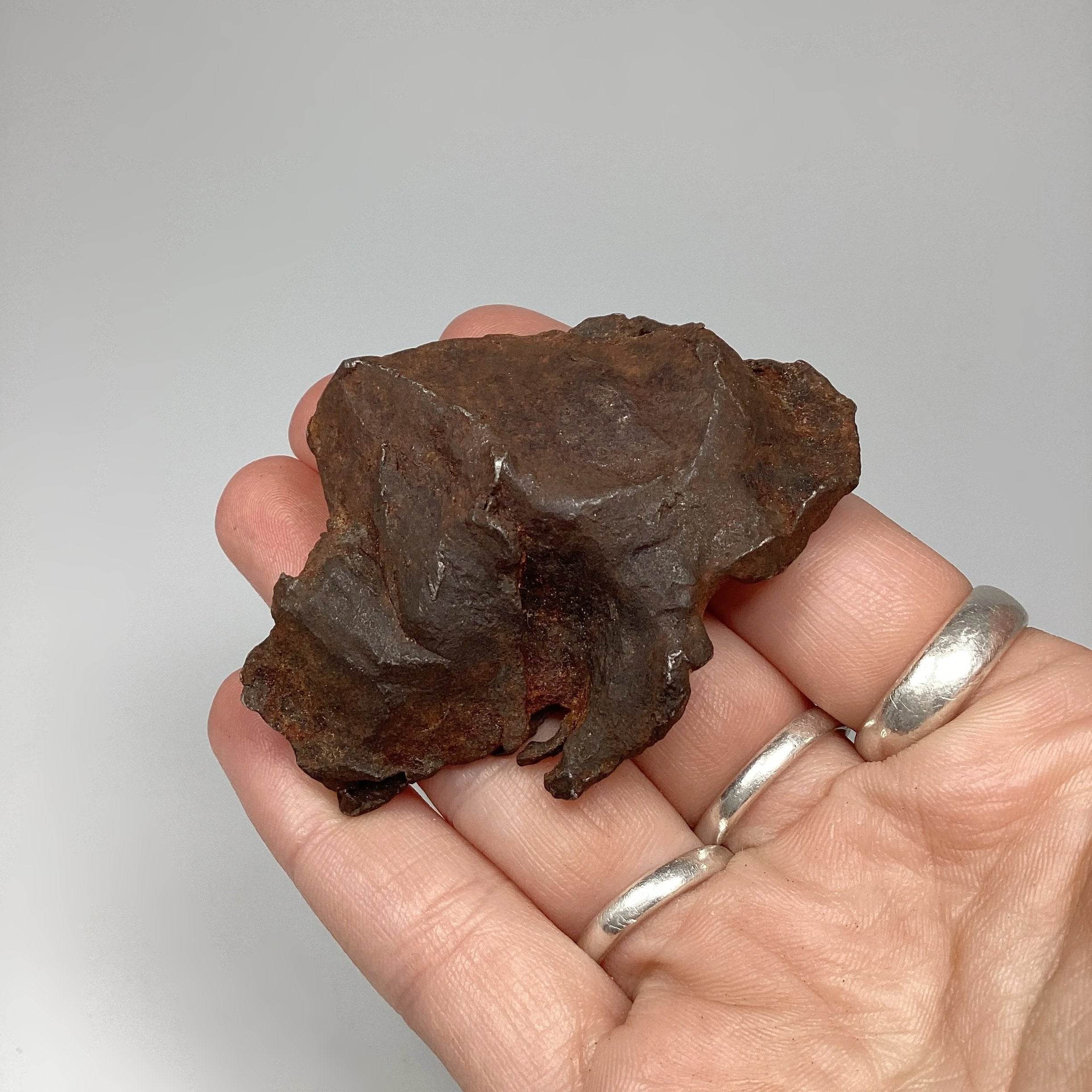 Gebel Kamil Meteorite - Rocks and Gems Canada