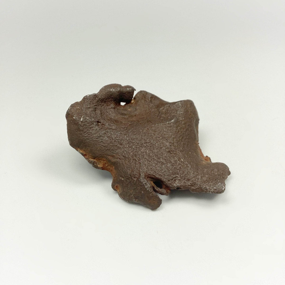 Gebel Kamil Meteorite - Rocks and Gems Canada