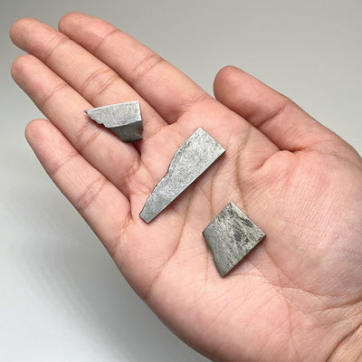 Gibeon Meteorite Specimen