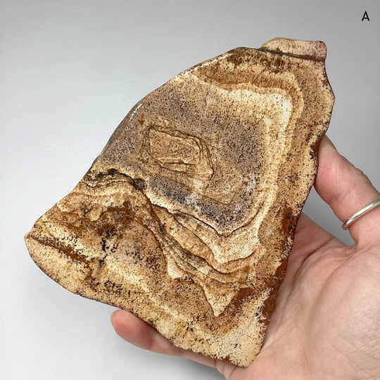 Picture Jasper Slice - Rocks and Gems Canada