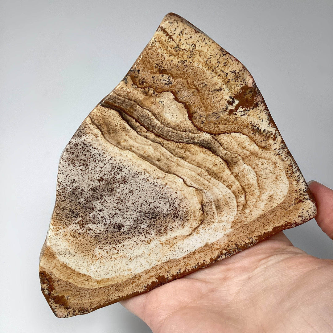 Picture Jasper Slice - Rocks and Gems Canada