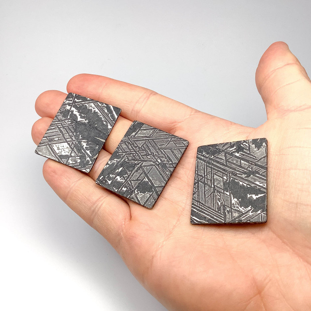 Aletai Meteorite Slice - Rocks and Gems Canada