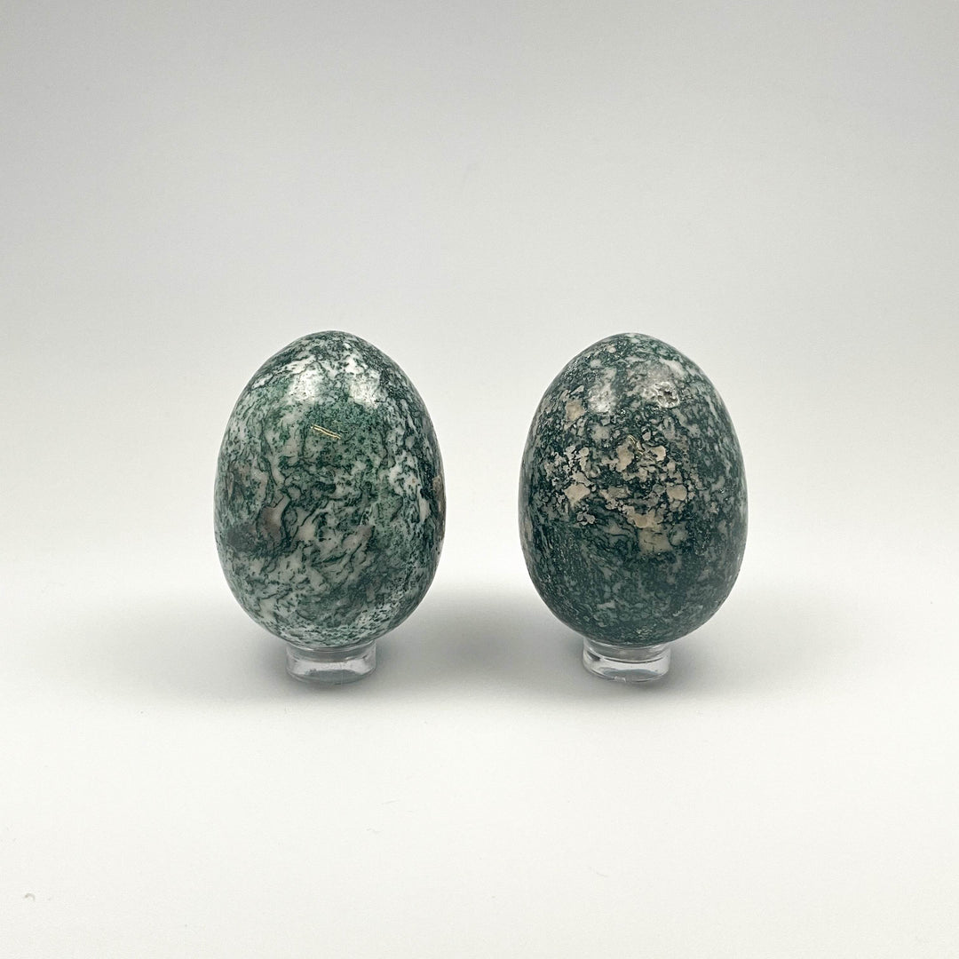 Tree Agate Egg - Rocks and Gems Canada