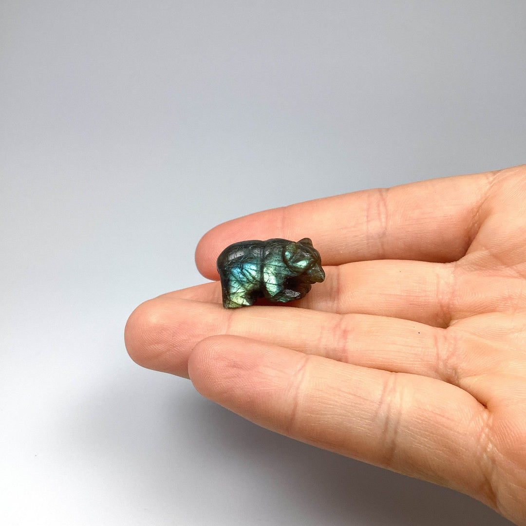 Labradorite Bear Carving - Rocks and Gems Canada