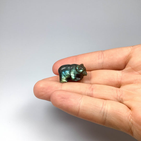 Labradorite Bear Carving - Rocks and Gems Canada