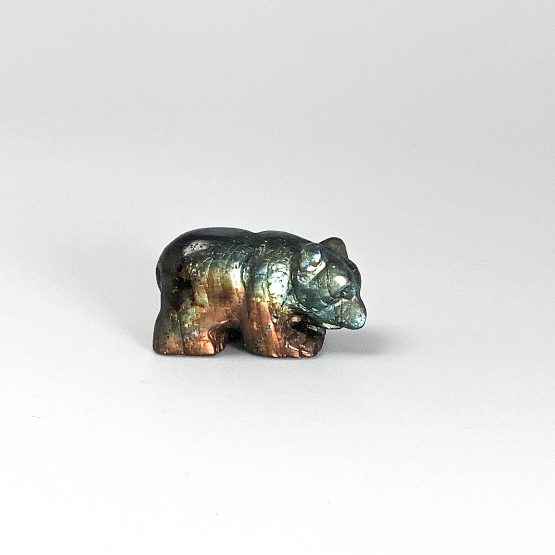Labradorite Bear Carving - Rocks and Gems Canada