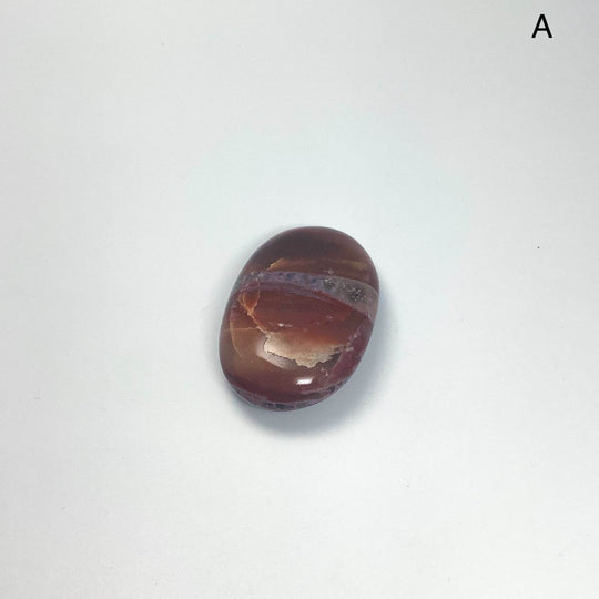 Petrified Wood Tumble Small - Rocks and Gems Canada