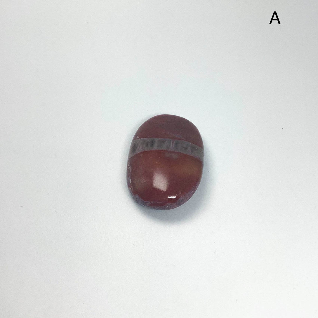 Petrified Wood Tumble Small - Rocks and Gems Canada