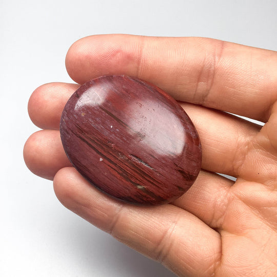 Petrified Wood Tumble Small - Rocks and Gems Canada