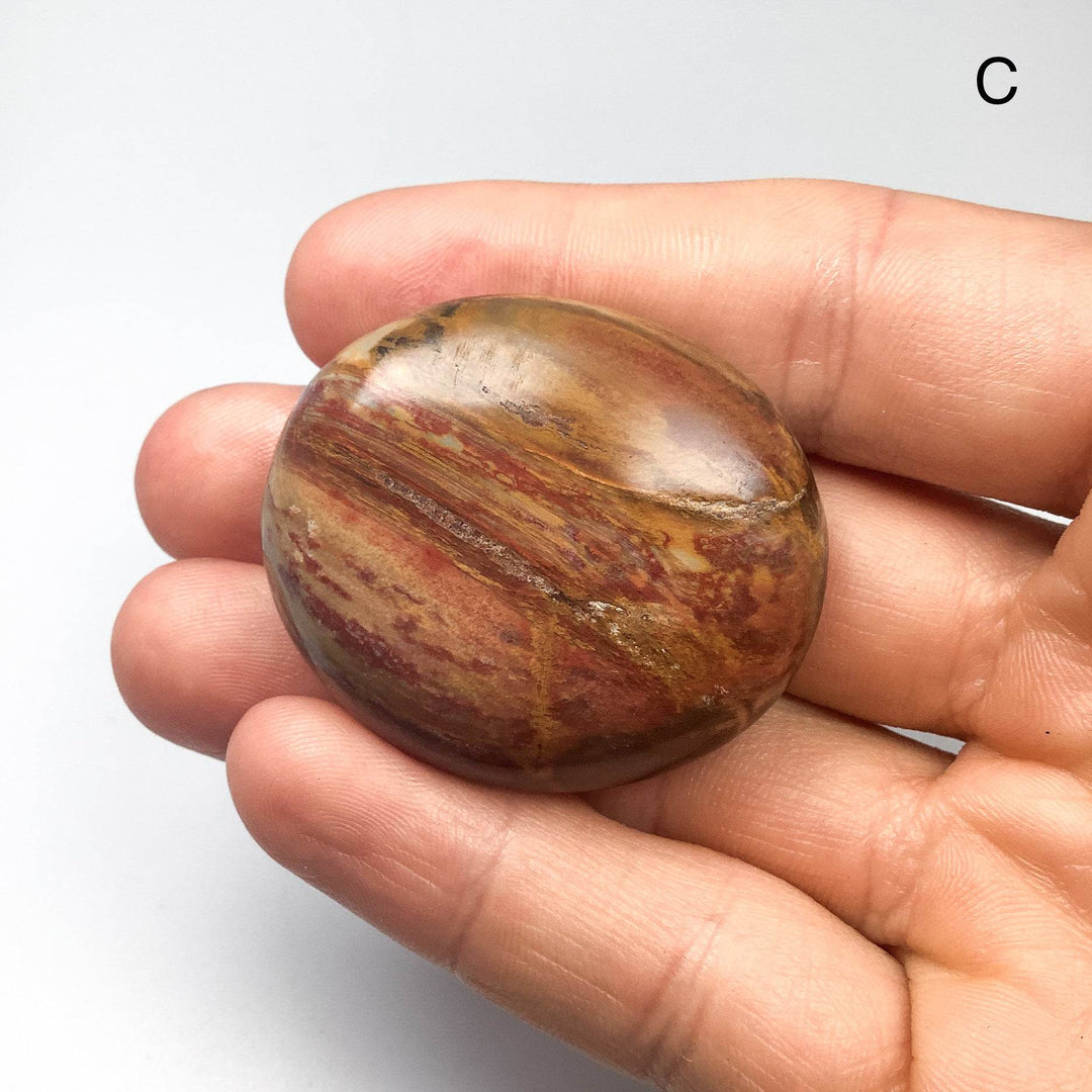 Petrified Wood Tumble Small - Rocks and Gems Canada
