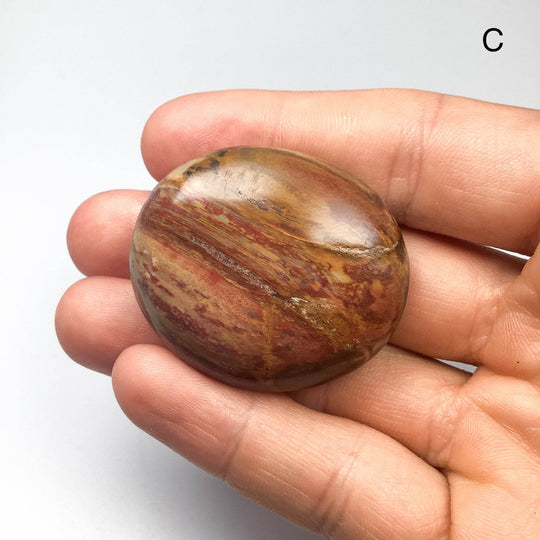 Petrified Wood Tumble Small - Rocks and Gems Canada