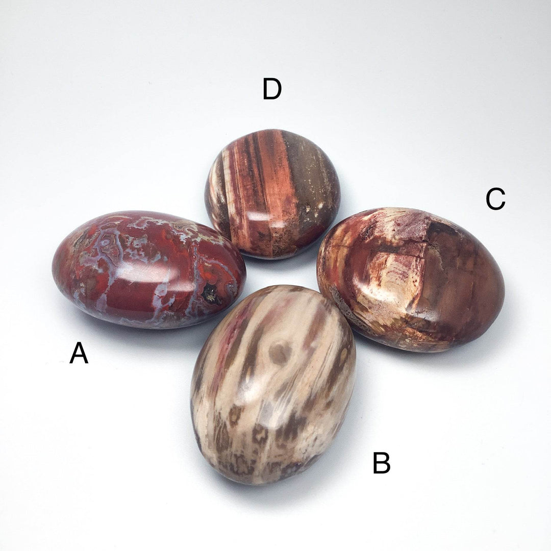 Petrified Wood Tumble Large - Rocks and Gems Canada