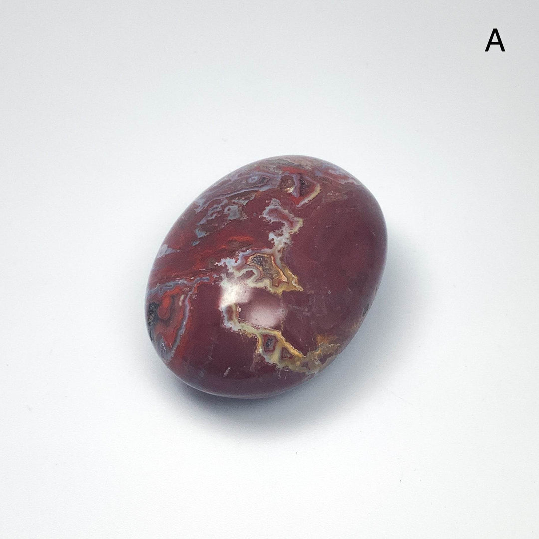 Petrified Wood Tumble Large - Rocks and Gems Canada