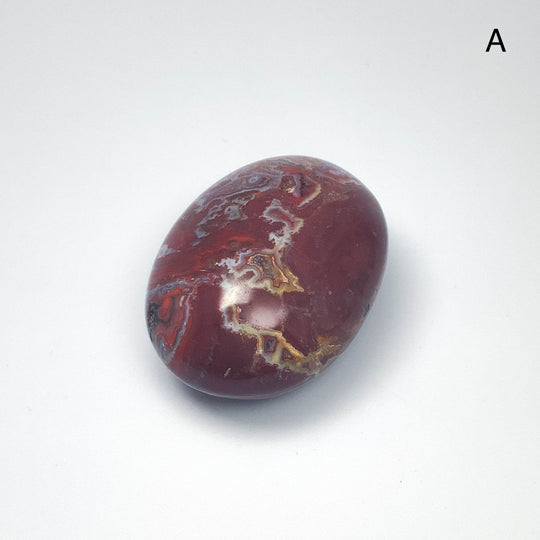 Petrified Wood Tumble Large - Rocks and Gems Canada