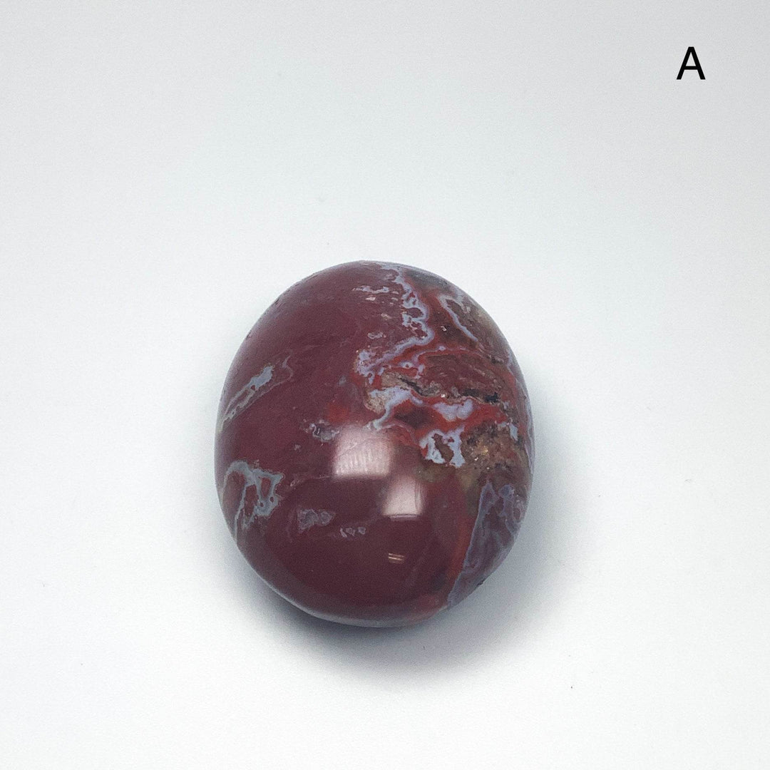 Petrified Wood Tumble Large - Rocks and Gems Canada