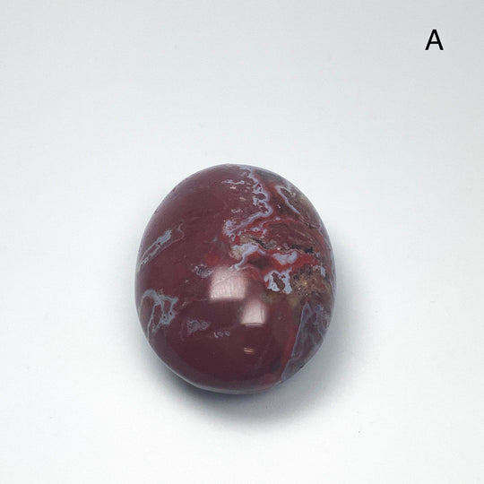 Petrified Wood Tumble Large - Rocks and Gems Canada