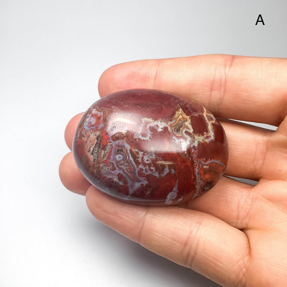 Petrified Wood Tumble Large - Rocks and Gems Canada