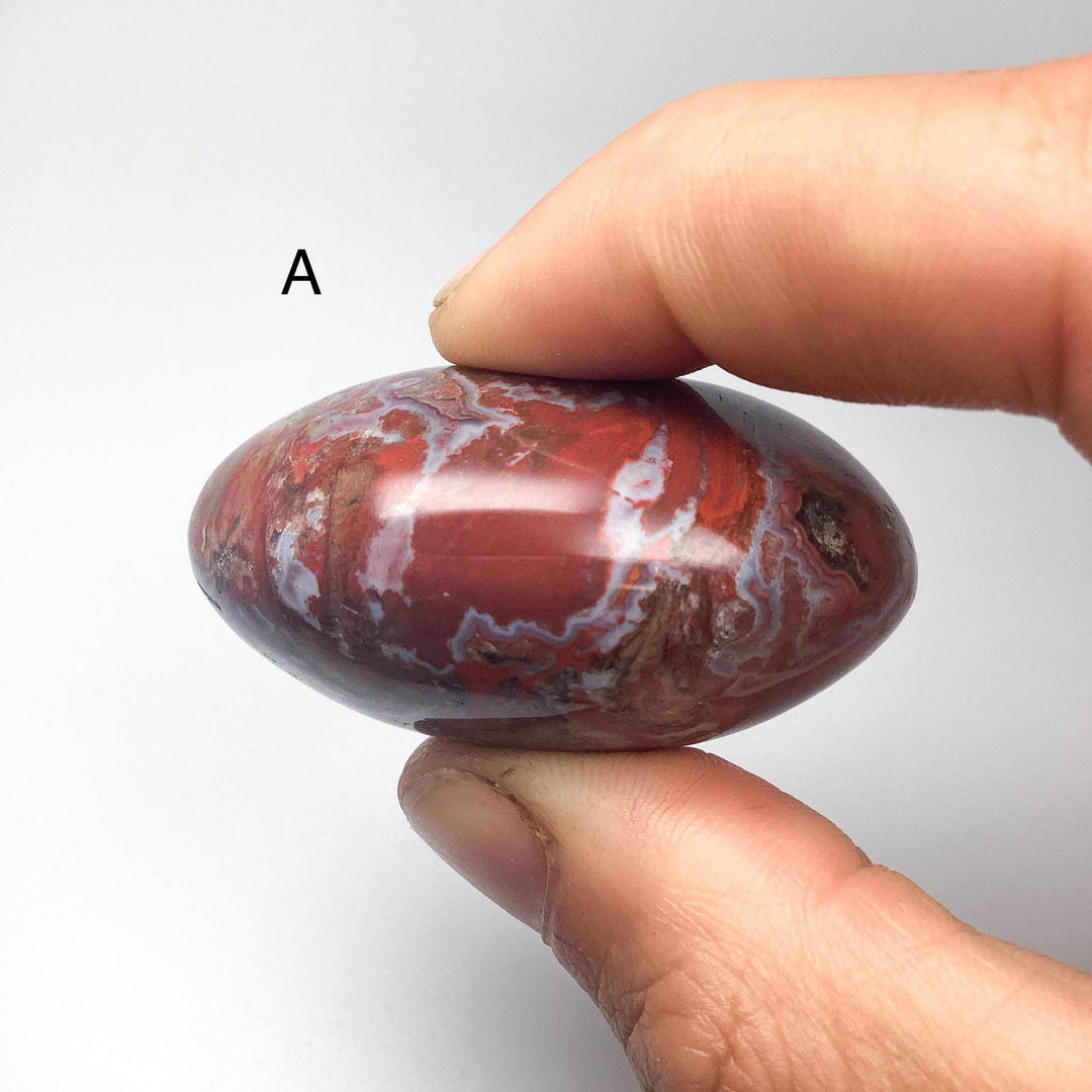 Petrified Wood Tumble Large - Rocks and Gems Canada