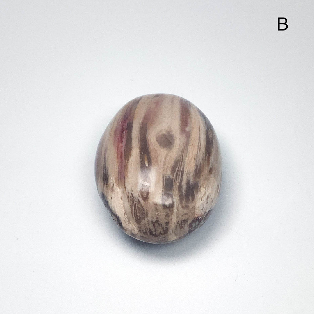 Petrified Wood Tumble Large - Rocks and Gems Canada