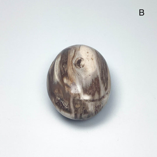 Petrified Wood Tumble Large - Rocks and Gems Canada