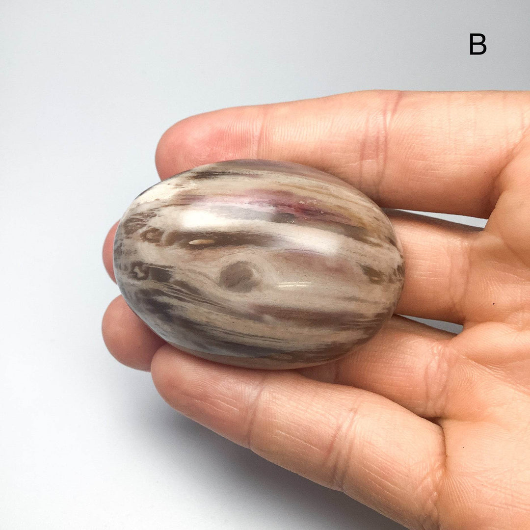 Petrified Wood Tumble Large - Rocks and Gems Canada