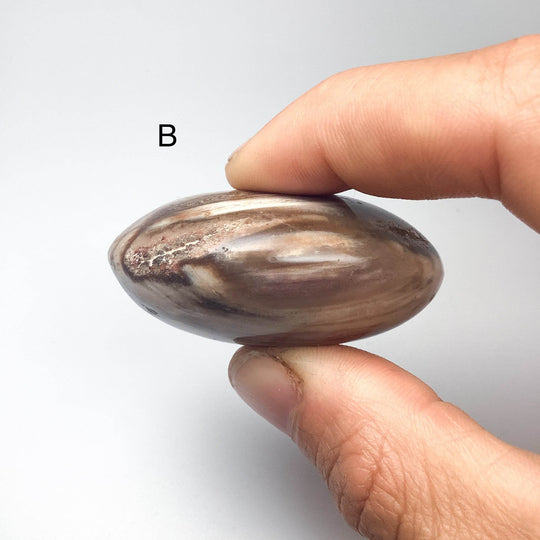 Petrified Wood Tumble Large - Rocks and Gems Canada