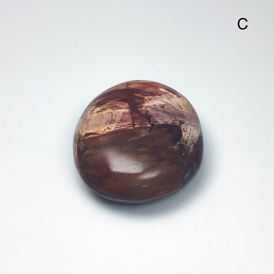 Petrified Wood Tumble Large - Rocks and Gems Canada